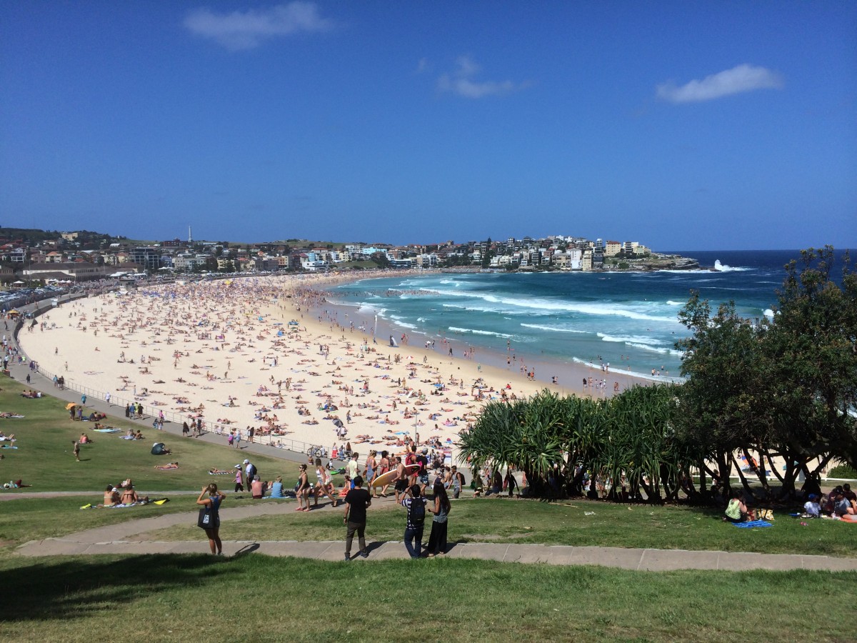 Bondi beach