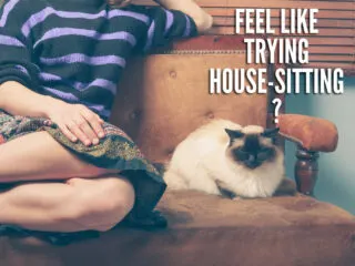 House-sitting