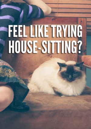 House-sitting