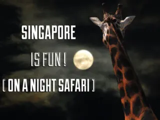 Singapore Night Safari