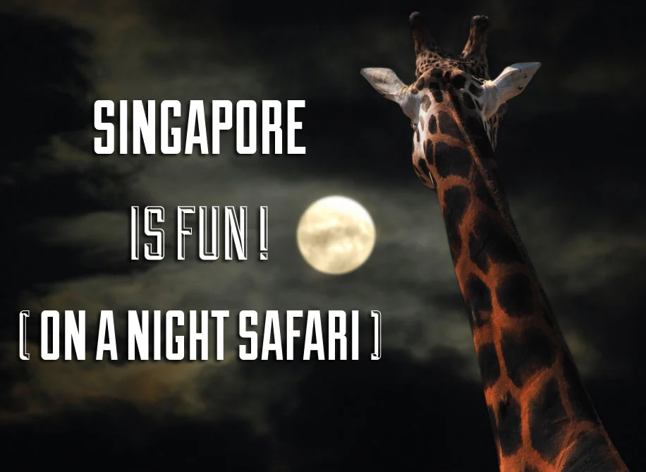 Singapore Night Safari