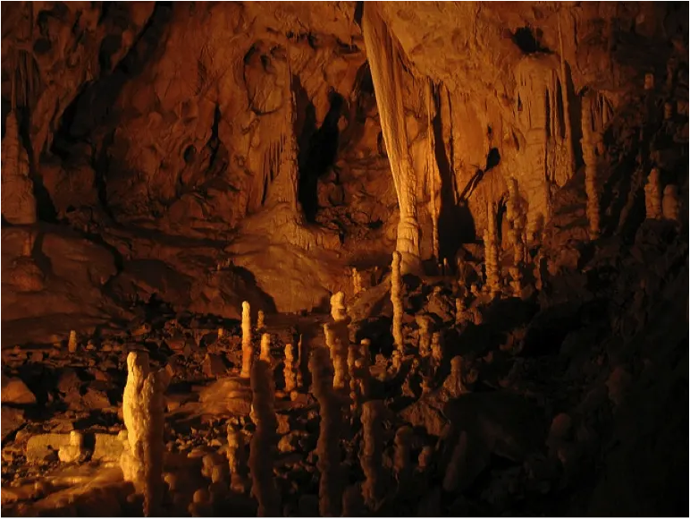 Bear cave Transylvania Romania