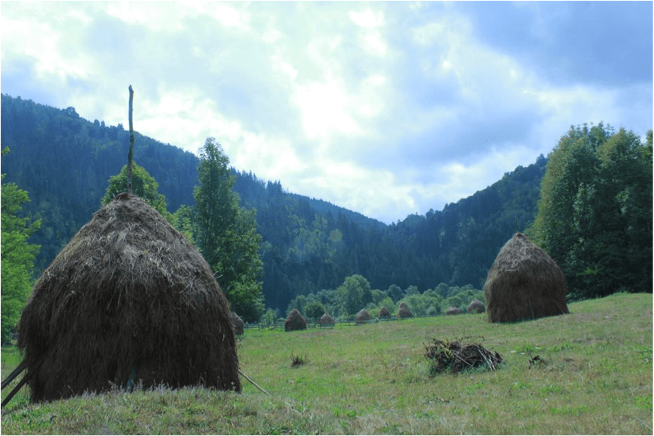 Carpathian mountains Transylvania Romania