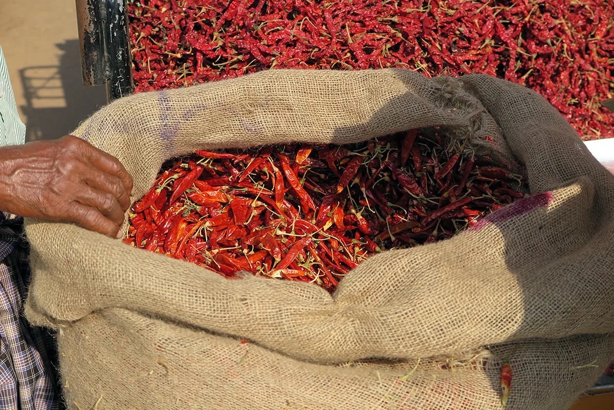 chilli India