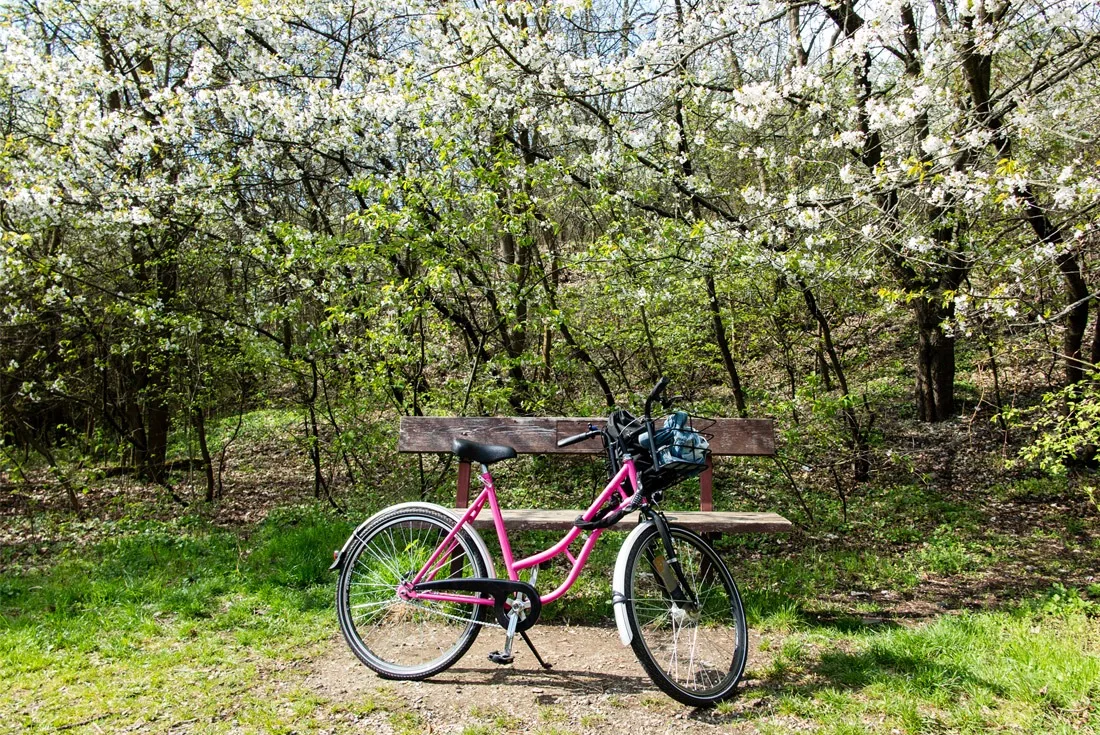 Rekolo Bike in Prague