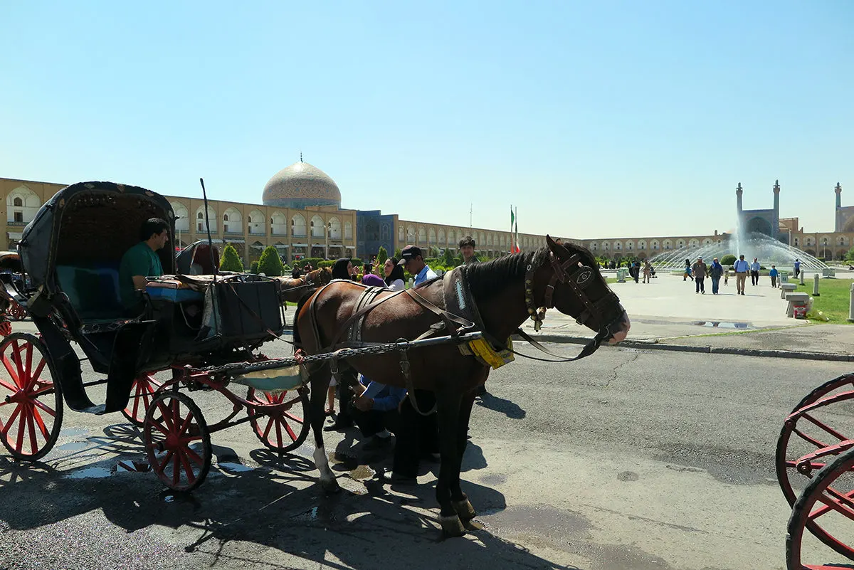 Horses with carriages on the Imam Square in Esfahan, Iran