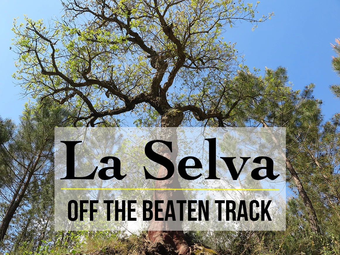 Region of La Selva: Spain Off The Beaten Track at Its Best!