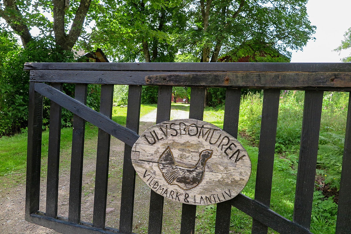 Welcome to Ulvsbomuren, Hellen's sheep farm in the wolf territory www.travelgeekery.com