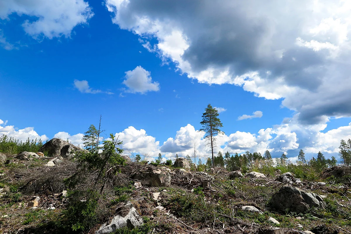 Some of the landscape is more like moonscape because of the timber industry www.travelgeekery.com