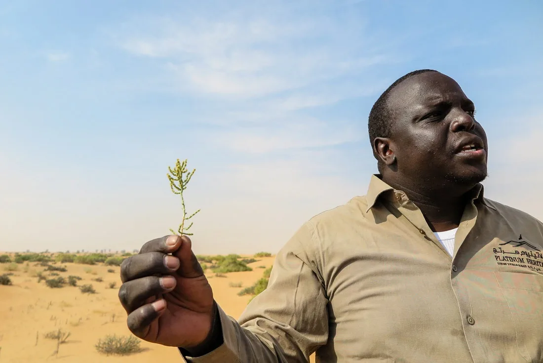 Oscar explaining the medicinal usage of this plant.