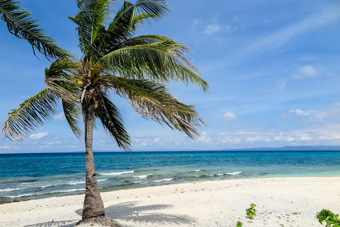 A lone coconut palm on Kalanggaman Island