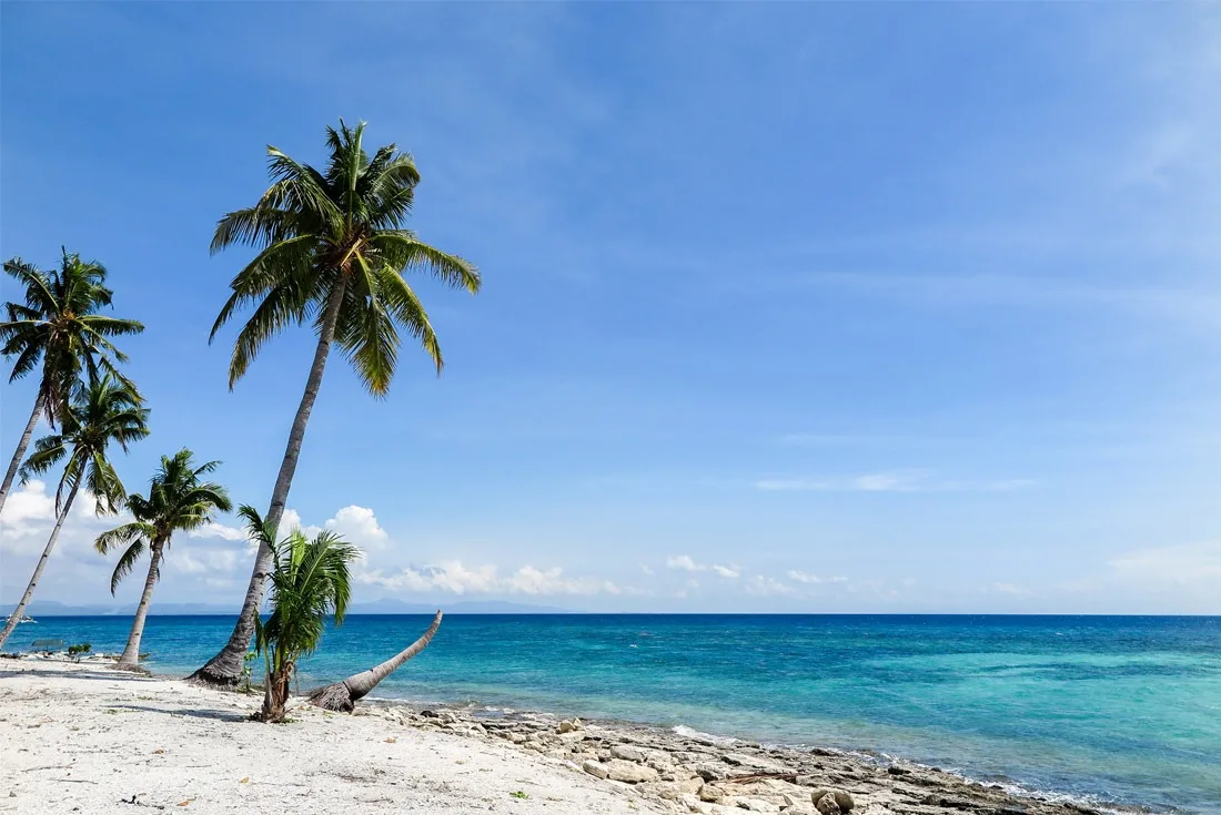 Coconut palms of Kalanggaman Island, Philippines