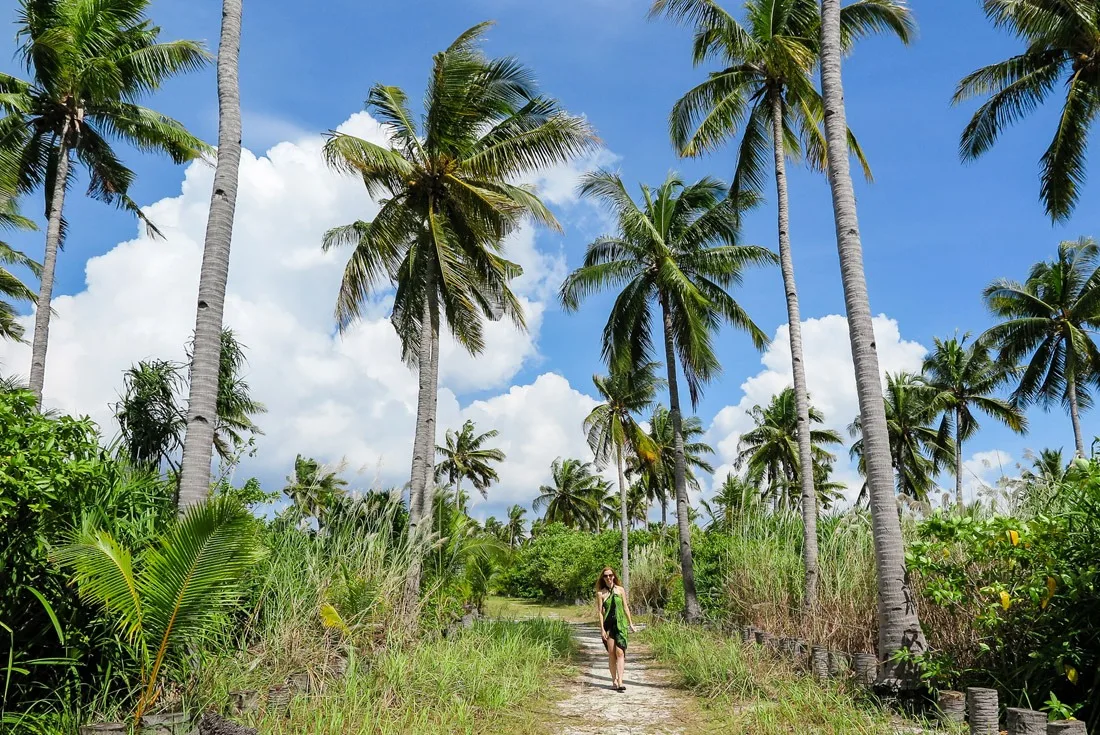 Coconut Alley on Kalanggaman Island, Philippines