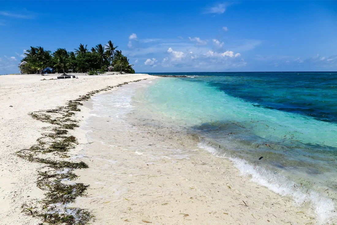 Seaweed in the paradise of Kalanggaman Island, Philippines