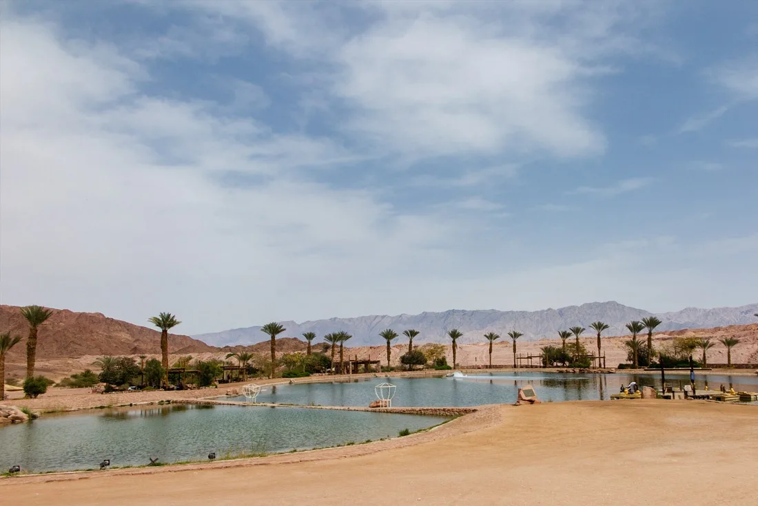 Manmade oasis in Timna Park, Eilat