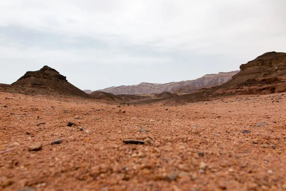 The reddish Mars-like soil in Timna NP, Eilat