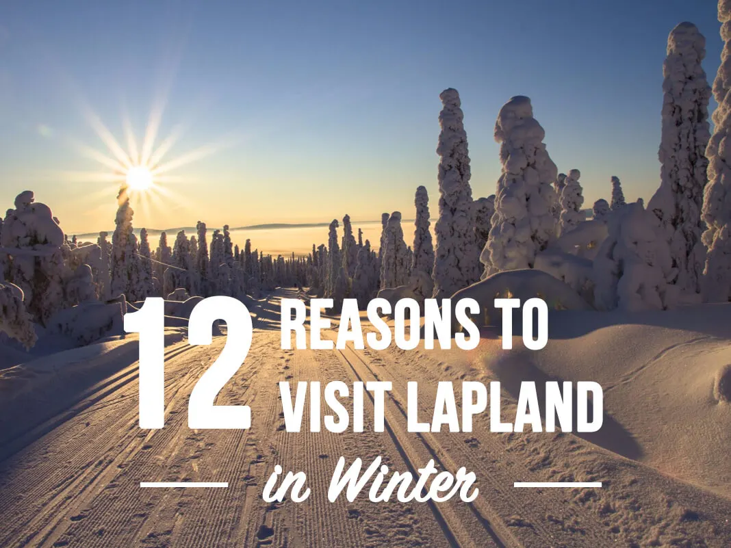 Lapland: Where to go and what to do there. Plenty of fun winter activities for all ages!