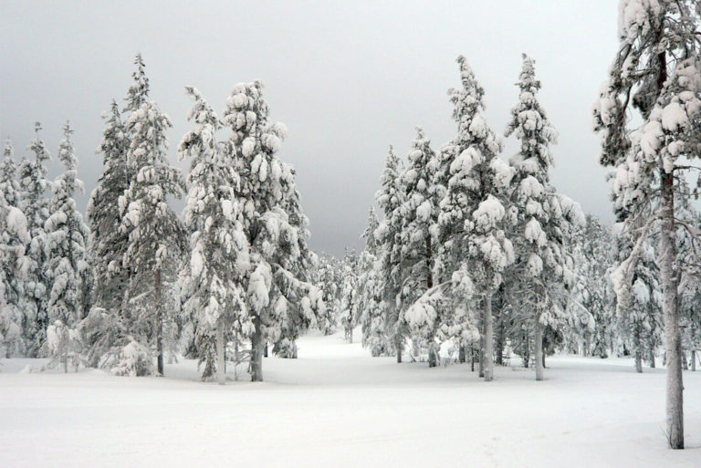 12 Reasons to Visit Finnish Lapland in Winter TravelGeekery