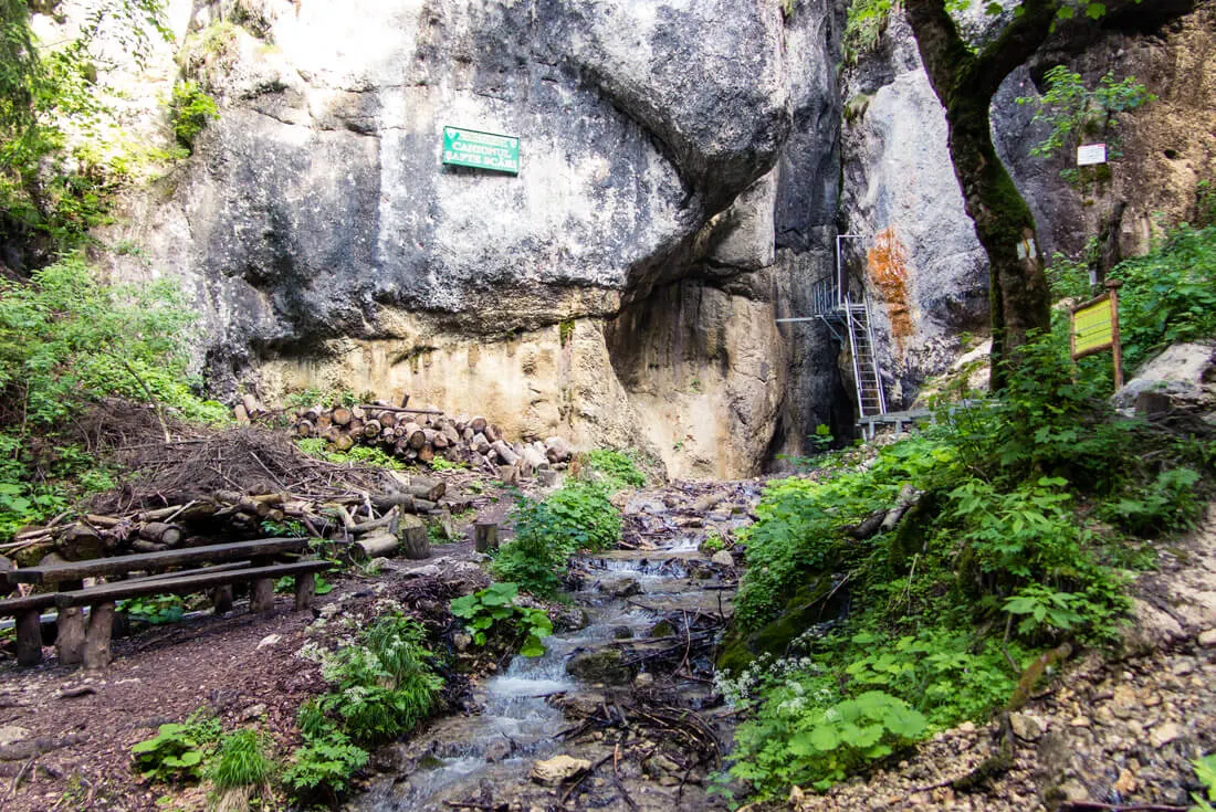 Piatra Mare National Park, Romania