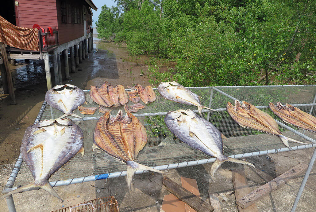 Exploring around the Old Town - dried fish and other interesting sights