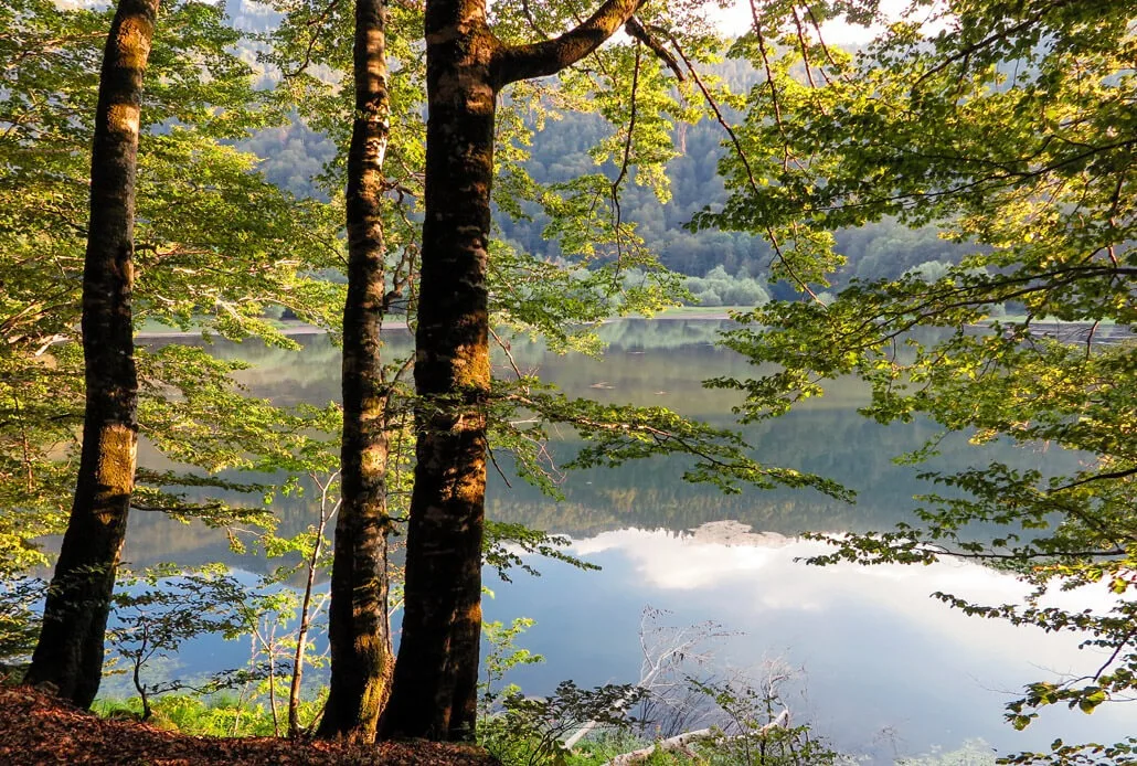 Biogradsko Jezero or Beograd Lake in the National Park of the same name, Montenegro