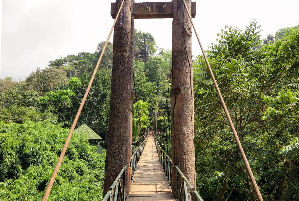 Wooden bridge in Vythiri Village hotel resort, Kerala, India