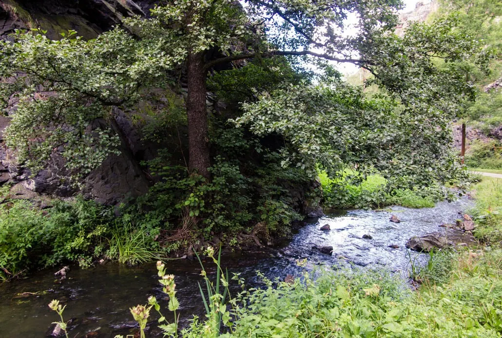 Divoká Šárka creek in Prague Czech Republic