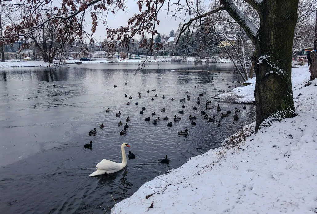 Snow in Prague