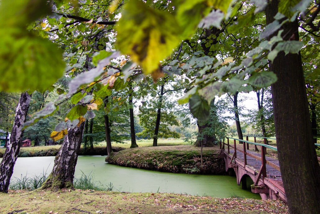 Greenery around Dlugosz Palace Siary