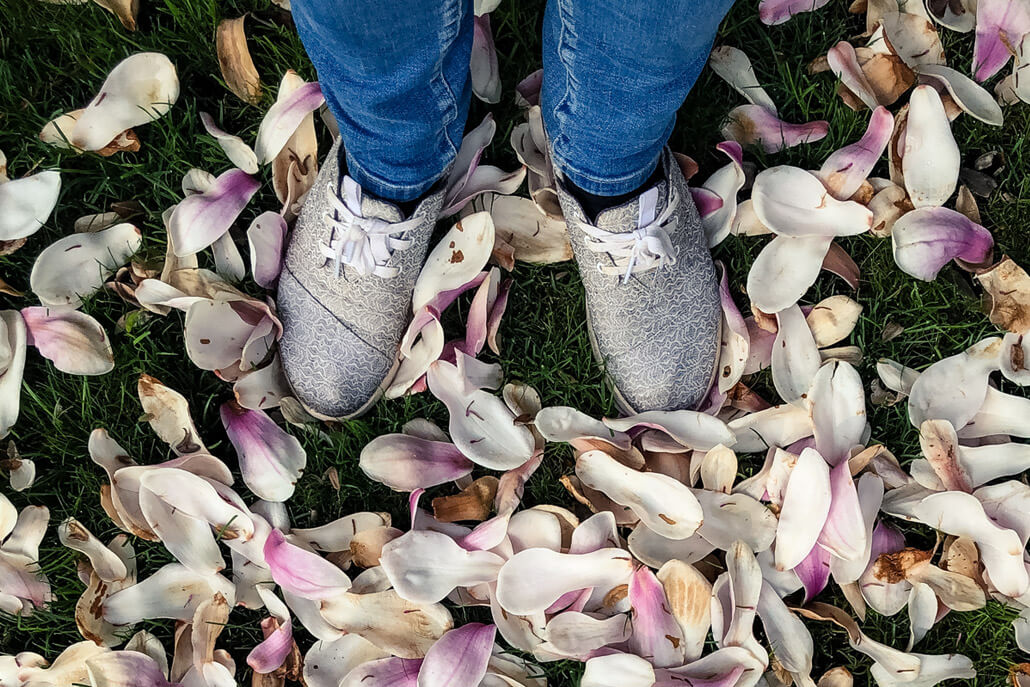 Feet in Toms sneakers on magnolia petals