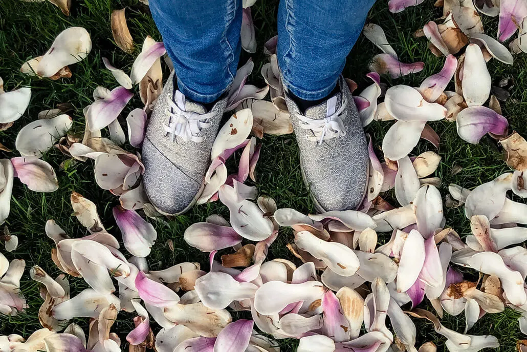 Feet in Toms sneakers on magnolia petals