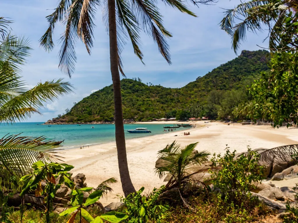 view of a beach