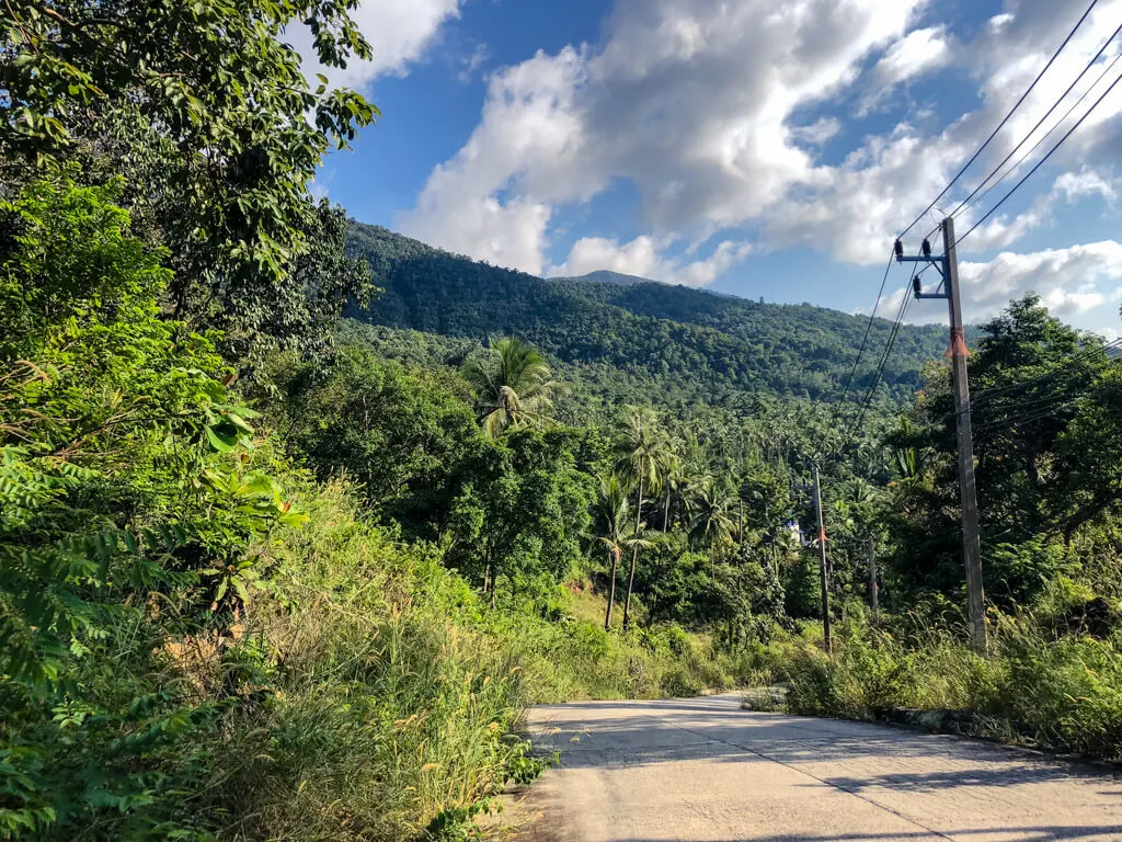 Greenery along the road in Koh Phangan Thailand