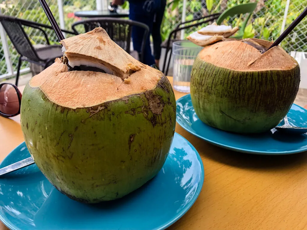 Young coconuts in Thailand