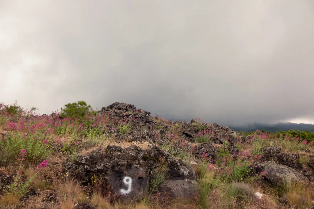 Roadside views on the ride up to Mount Etna in Sicily