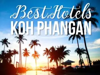 Palm trees by a pool with text