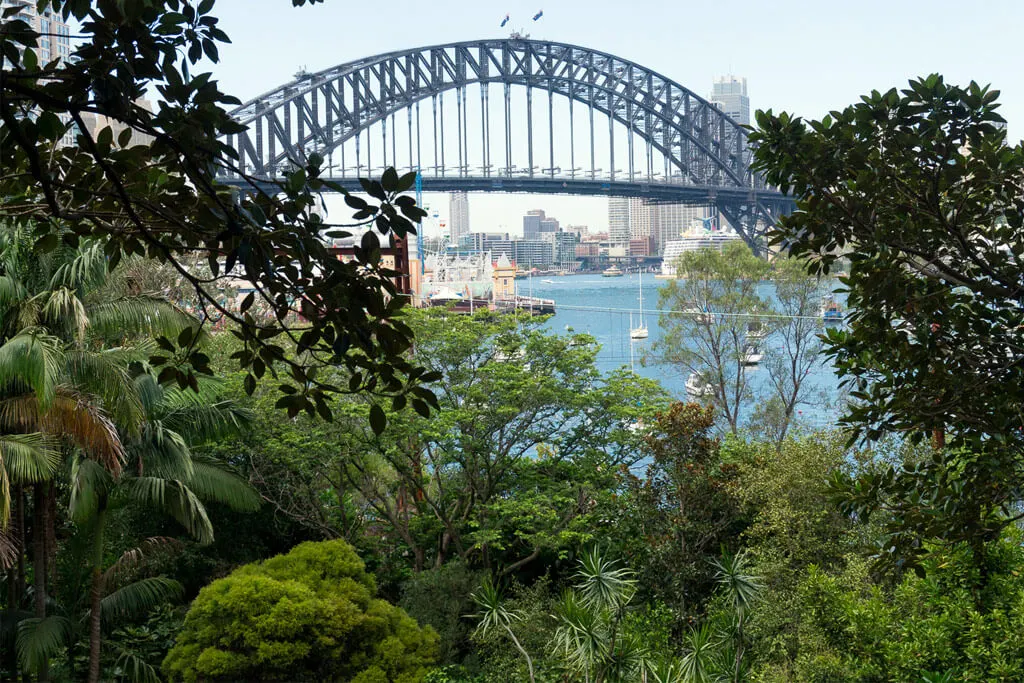 View of Sydney's Harbour Bridge from behind trees