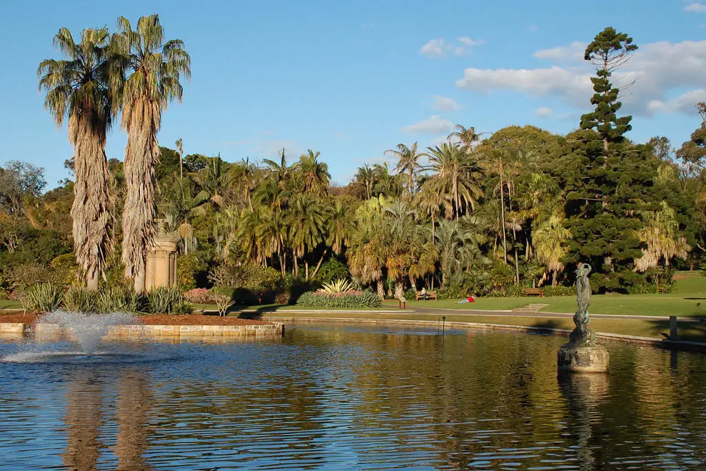 View of lake at Sydney Royal Botanical Gardens