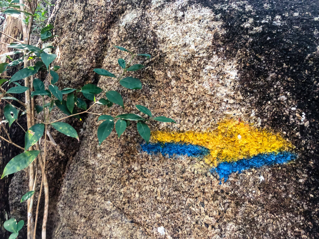 Trail mark on a rock