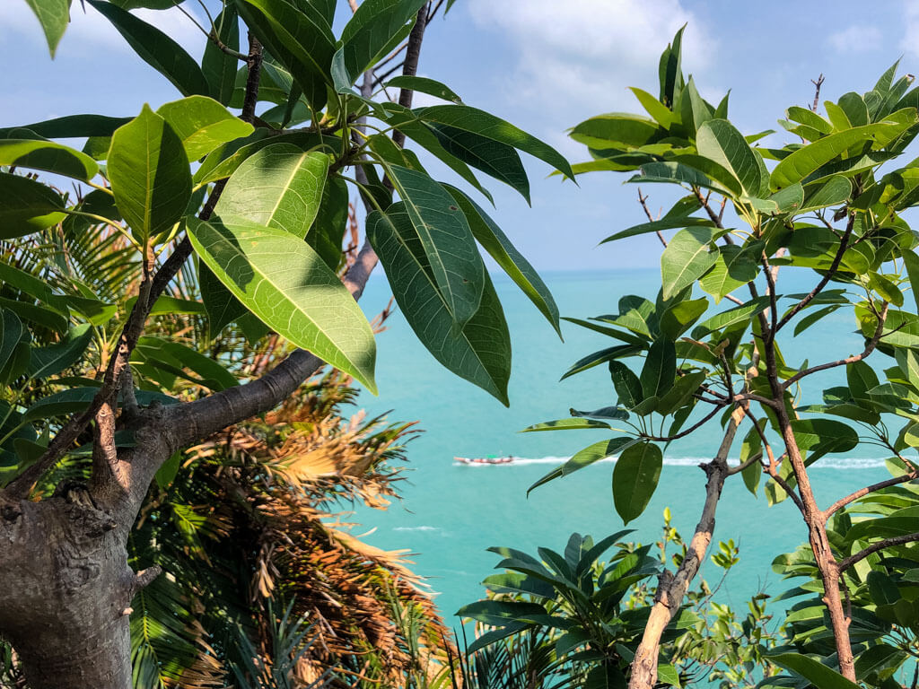 View of the sea with a boat through greenery