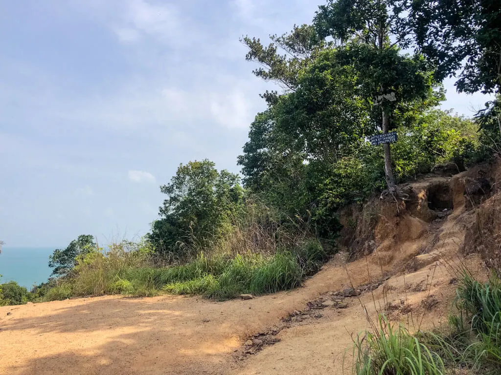 A dirt road splitting into two hiking trails