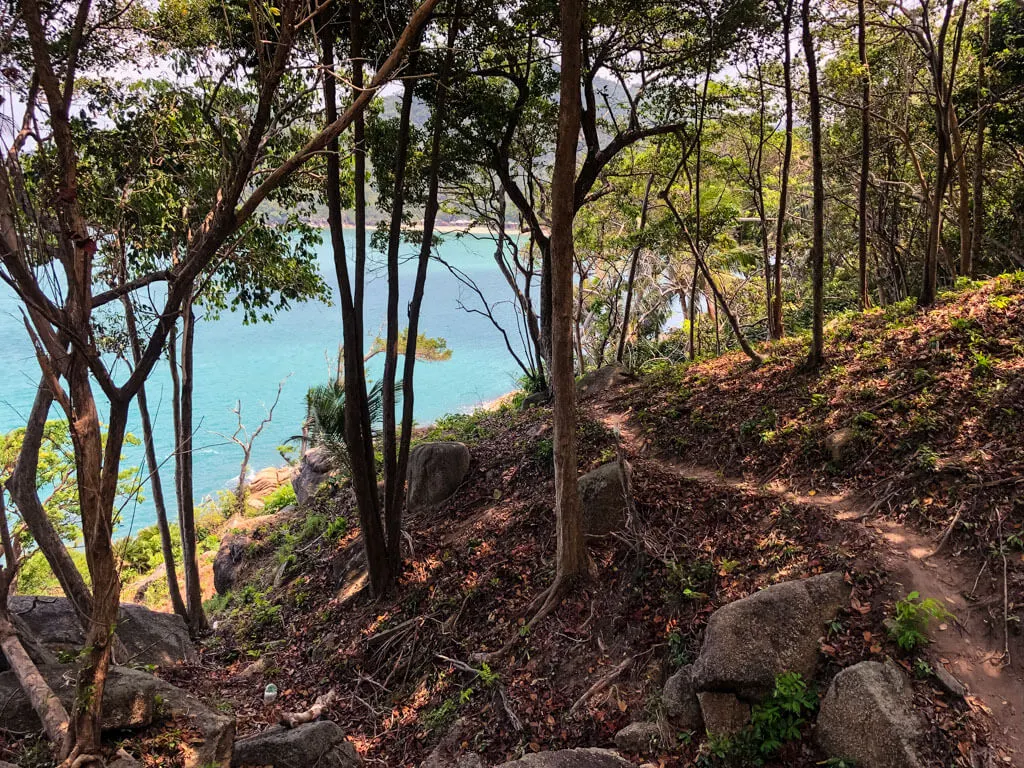 A hiking trail leading to a beach