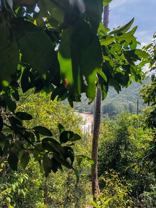 Peeking through greenery, seeing a beautiful beach