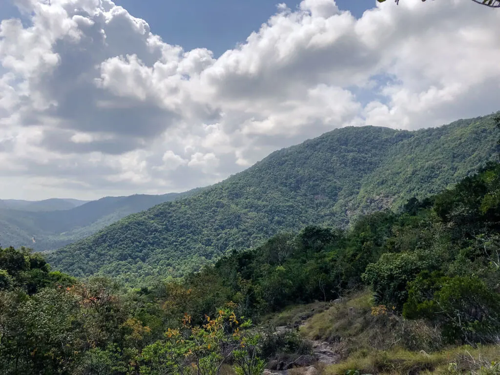 Lush green hills of Koh Phangan Thailand