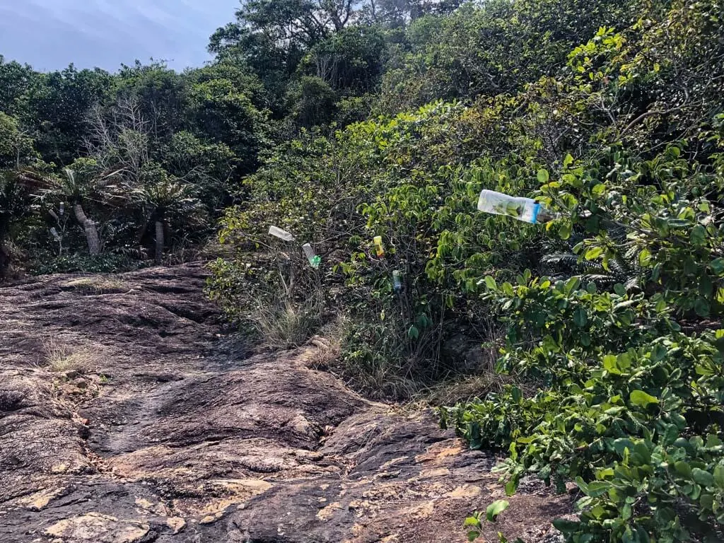 Plastic bottles uses as marking on a trail