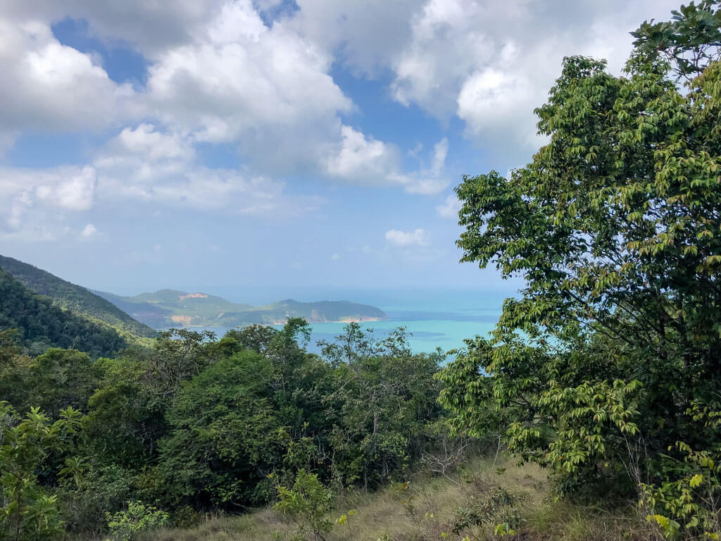 View of greenery and the ocean in the background, Koh Phangan, Thailand