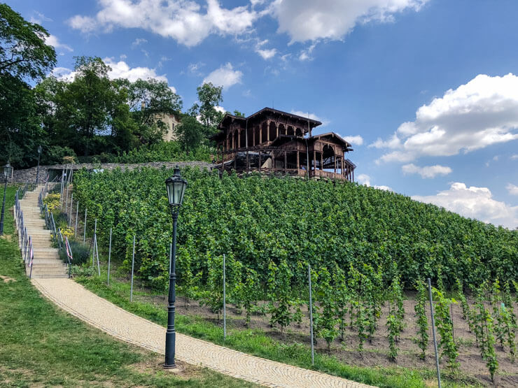 A wooden gazebo overlooking a vineyard in a park in Prague