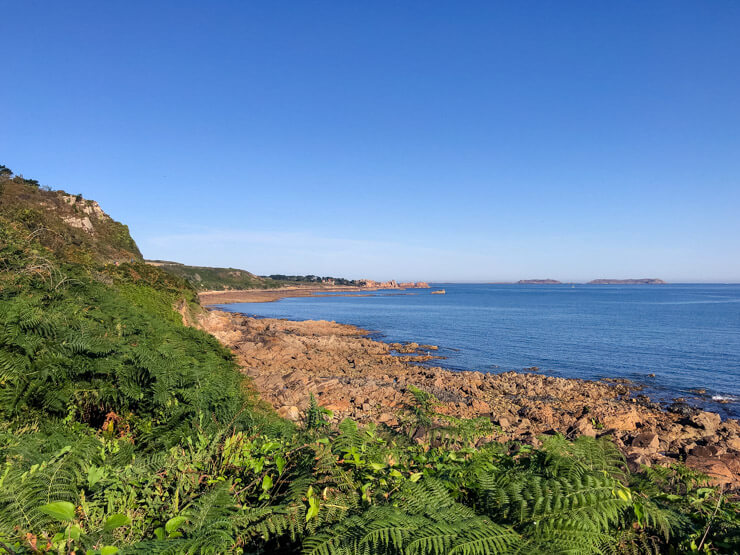 Greenery on the Pink Granite Coast contrasting with the blue ocean