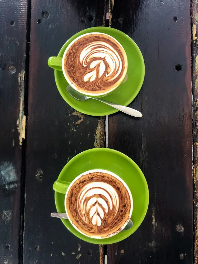 Two perfect cups of cappuccino