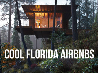 Treehouse in a forest with text overlay: Cool Florida Airbnbs